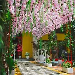 Apartment Mali I Robit *