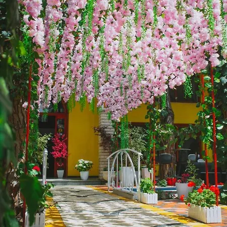 דירה Mali I Robit *